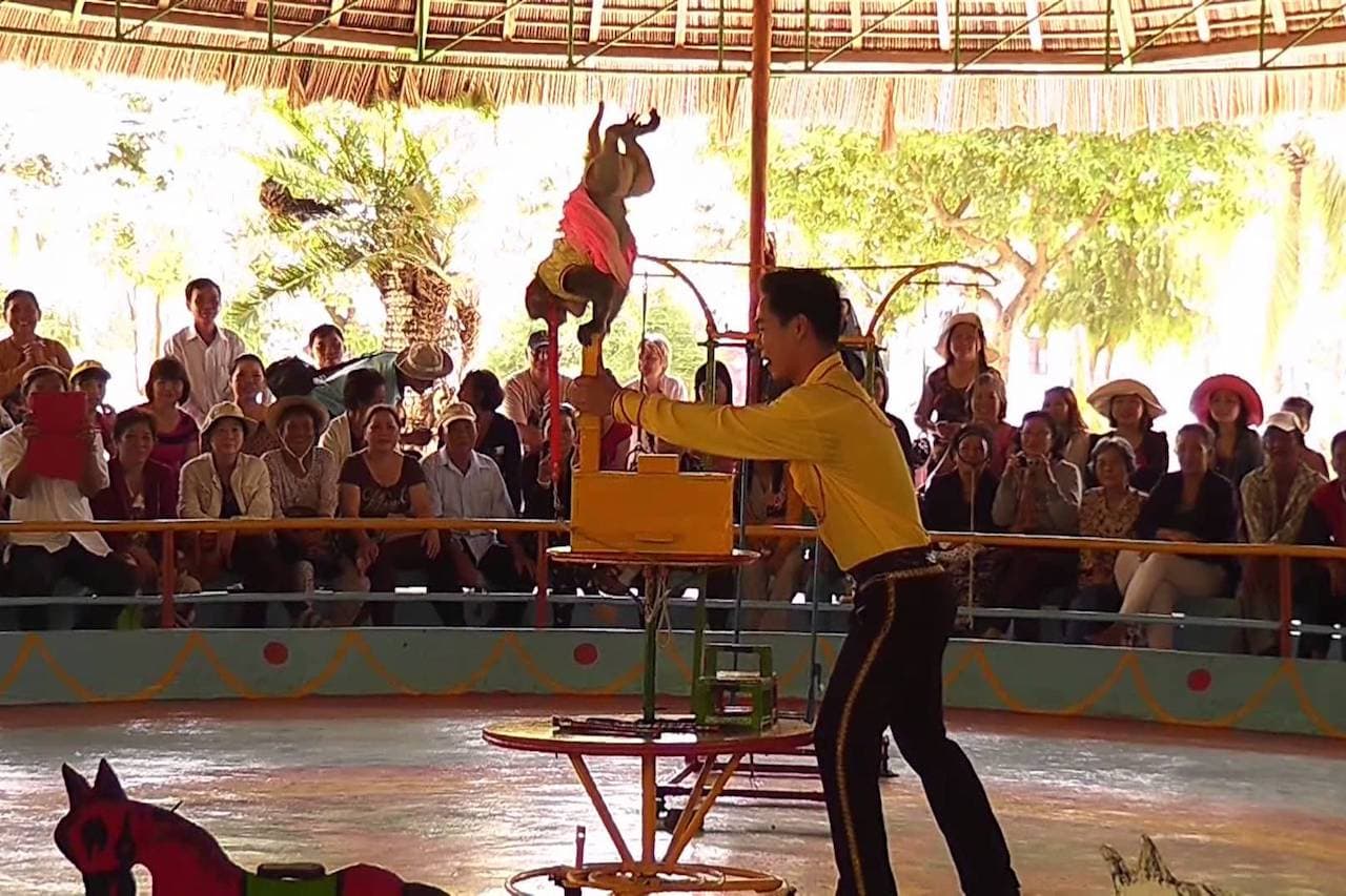 Цирк, расположенный на острове обезьян во Вьетнаме