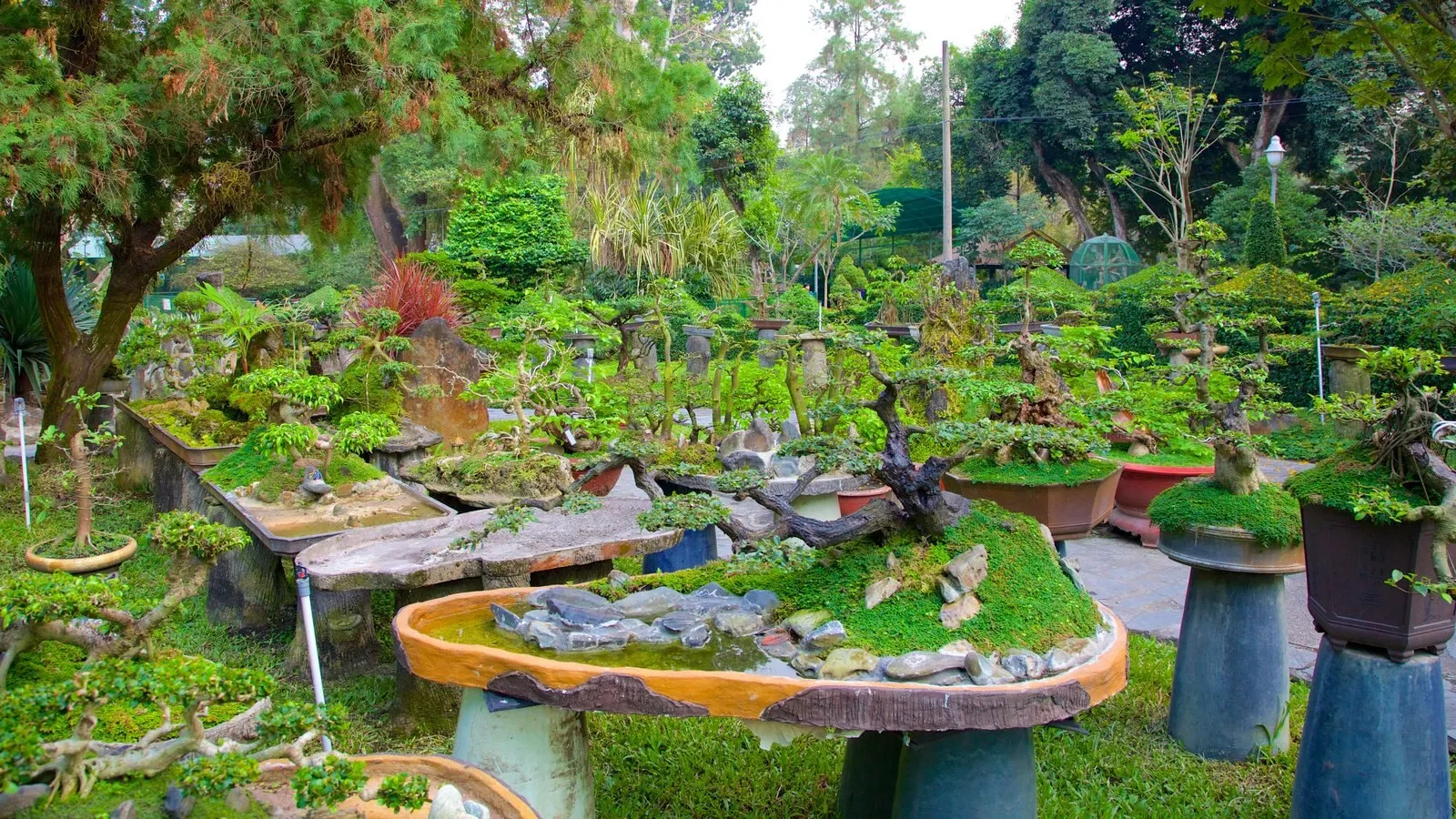 Hochiminh City Zoo and Botanical Gardens. Вьетнам