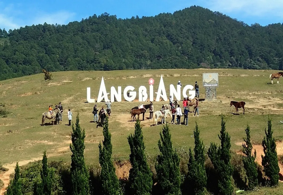 Гора Лангбиен (Langbiang Mountain)